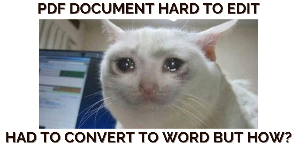 Easily create editable documents from any PDF file with just one click.